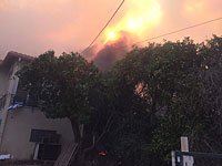 Сильный лесной пожар в районе Зихрон-Яакова, есть пострадавшие