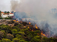 Сильный пожар в поселении Долев, идет эвакуация жителей