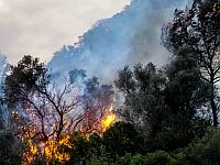 Возобновились пожары в районе Зихрон-Яакова