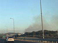 Пожарная служба сообщила еще об одном очаге возгорания на севере Израиля