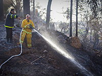 В Прибрежном округе локализованы 16 очагов возгорания