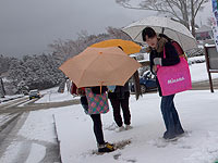 В Токио впервые за 54 года выпал снег в ноябре