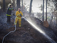Объявлена всеобщая мобилизация сотрудников службы пожарной охраны