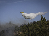Возгорание кустарника рядом с кибуцем Баркаи на севере Израиля