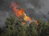 Первый серьезный пожар в Гуш-Дане: огонь угрожает заправочной станции в Савьоне