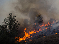 Угроза распространения огня на заправочную станцию в районе Шаар а-Гай