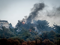 Отменены занятия в школах, расположенных в эвакуированных районах Хайфы