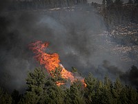 Пожар в районе Кармиэля: эвакуированы жители поселка Ар Халуц