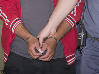 Полицейские задержали 12 подозреваемых в причастности к поджогам