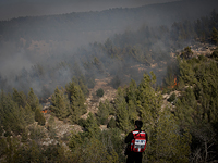 Эвакуированы жители поселка Харашим в Западной Галилее