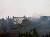 Пожарные: интенсивность пожаров снижается, больше половины случаев - поджоги