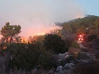 Начался пожар в районе Мевасерет-Цион