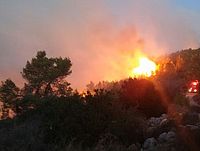 В районе Бейт-Меира локализован возобновившийся пожар