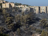 Министр строительства открыл координационный центр для помощи погорельцам