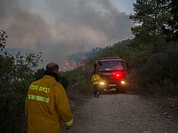 Задержаны двое подозреваемых в поджоге в Халамише