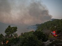 В Иерусалимских горах вспыхнул новый пожар