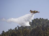 В районе Далият аль-Кармель вспыхнул пожар