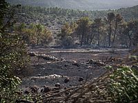 Министры предлагают ужесточить наказания за поджоги