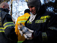 Международная операция по борьбе с пожарами в Израиле. Фоторепортаж