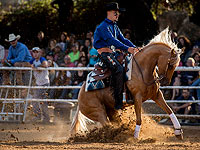 Хвосты и гривы: состязание наездников в кибуце Алоним. Фоторепортаж