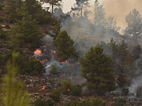 Локализованы два очага возгорания в Иерусалиме