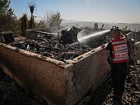 Седьмые сутки после начала лесных пожаров в Израиле: сводка