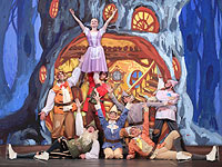 Зима, сказка, цирк на льду