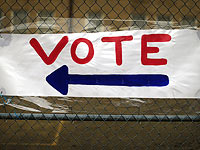 Результаты голосования на выборах президента США в Мичигане будут пересчитаны
