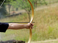 Пожилой австралиец, защищая имущество, ранил грабителя стрелой в зад