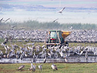 В заповеднике Хула открылась 