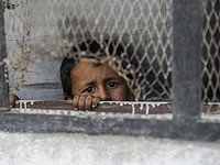 Западные страны обвинили Россию в страданиях жителей Алеппо 