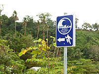 Сильное землетрясение произошло у побережья Соломоновых островов: есть угроза цунами