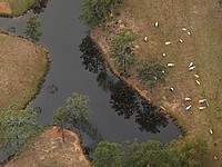 Продан самый крупный в мире частный земельный участок