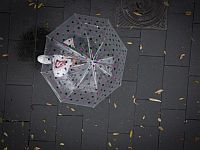 Второй день зимнего шторма: прогноз на ближайшие дни