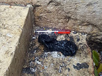 Теракт в Старом городе Иерусалима, нападавший нейтрализован