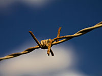 Слух о задержании в Алеппо израильского офицера и других иностранцев не подтверждается