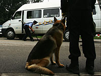 Подозрение на теракт в Пекине: водитель минифургона врезался в толпу на рынке