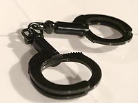 Экс-чемпион мира по боксу  ранил брата и подрался с полицейскими