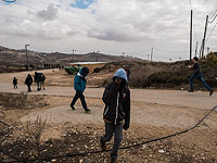 Лидеры Амоны подтвердили отказ от компромисса: 