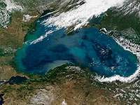 Источник: на нескольких пассажирах разбившегося Ту-154 были спасжилеты  