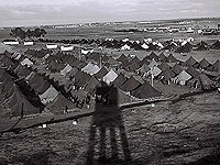 Лагерь для новых репатриантов. Израиль, 1949 год 