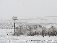 Зимняя погода в Израиле накануне Нового года. Фоторепортаж
