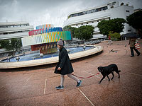 The Marker: средний расход на содержание домашнего животного – 3,360 шекелей в год