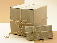 2-й канал ИТВ сообщил подробности одного из расследований, ведущихся против Нетаниягу 