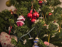 Празднование Нового года в Израиле. ОПРОС NEWSru.co.il