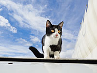 Вылет самолета компании 