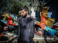 Единственный зоопарк в секторе Газы закрывается. ФОТО