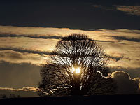 Жертвами аномальных морозов в Европе стали больше 20 человек