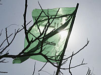 Неонацистский марш в Монтане: запланировано выступление члена ХАМАС