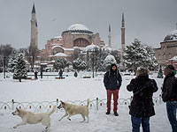 Из-за снегопада в Стамбуле отменены 380 авиарейсов, включая израильские